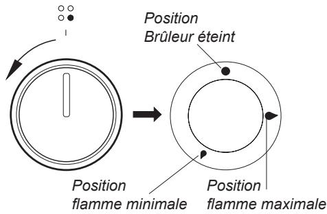 AMICA ACM7037RNACM7037RB - Manette de commande de brûleur - 1