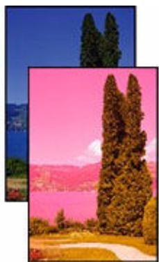 CANON TS4150IWH - L'encre ne s'écoule pas/Impressions flues ou troubles/Couleurs inexactes ou Bavures/Traces - 3