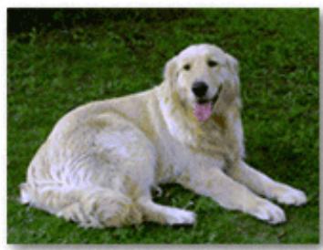 CANON TS4150IWH - Remarque - 3