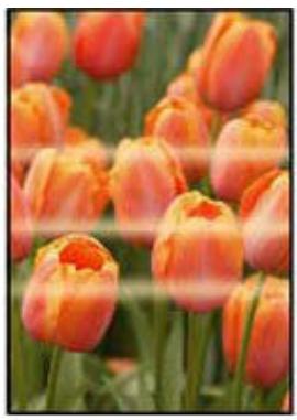 CANON TS4150IWH - Remarque - 10