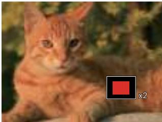 KODAK WPZJN - Utilisation du zoom sur les images déjà prises (images fixes seulement) - 2