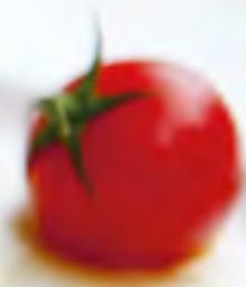 MAGIMIX CS3200XL18371F - Tartare de saumon - 2