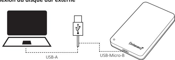 INTENSO IN6021560 - Connexion du disque dur externe - 1