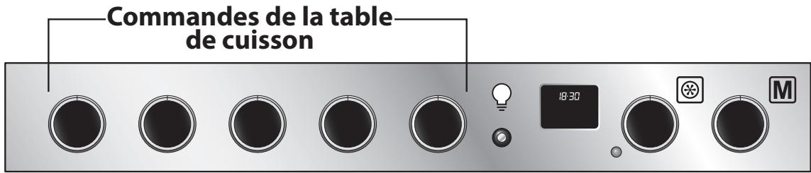 FALCON ESDL100DFPSLT/CM-E1 - Identification des lampes et du four - cavité unique - 1