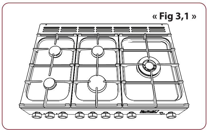 FALCON ESDL100DFPMNT - Zone de cuisson - 1