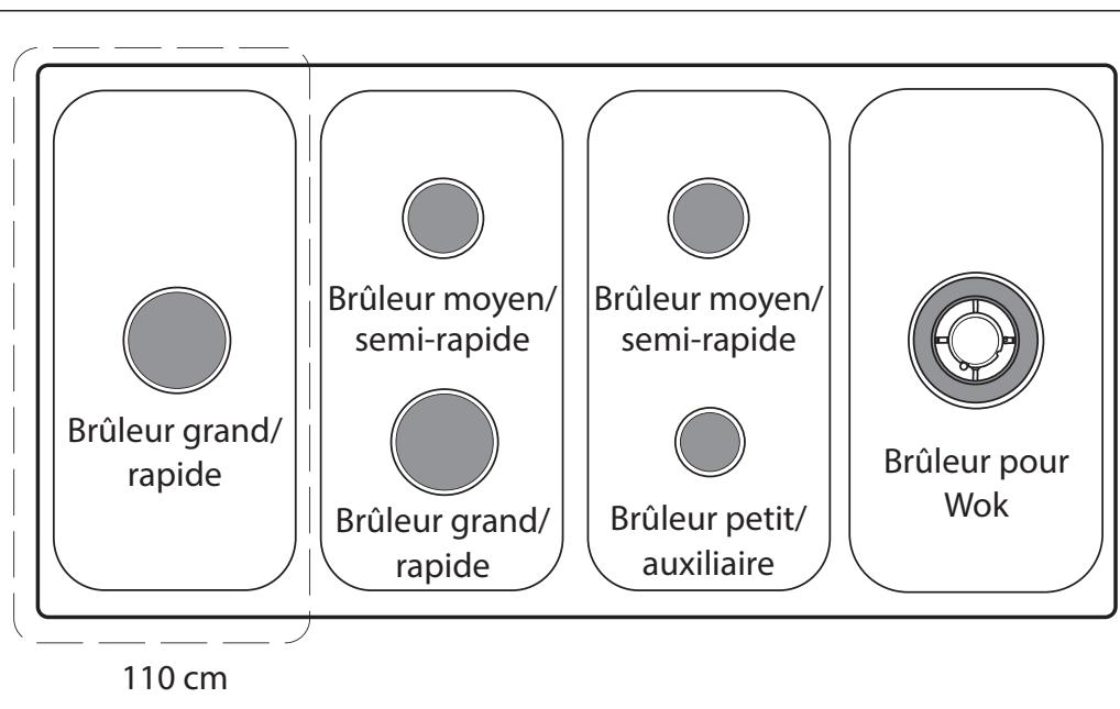 FALCON ESDL100DFPGBL - Appareil à induction/ - 1