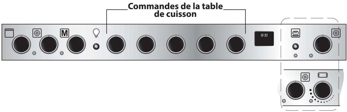 FALCON ESDL100DFPSLT - Identification des lampes, du four et du grill - 1