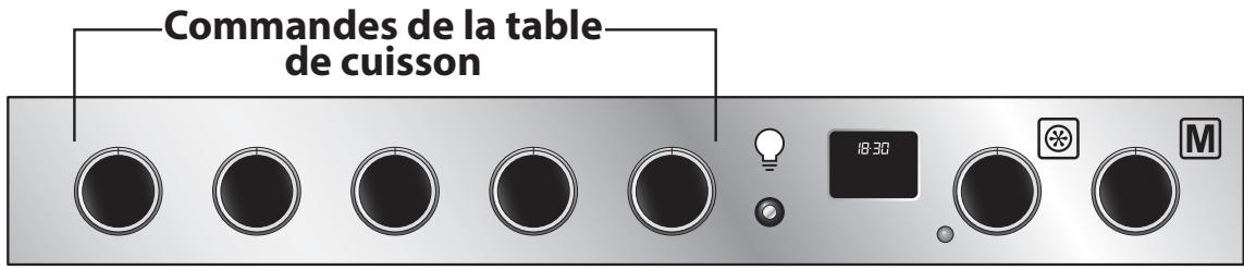 FALCON ESDL100DFPSLT - Identification des lampes et du four - Cavité unique - 1