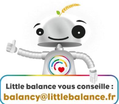 LITTLE BALANCE 8840 - Avertissement et précautions relativement aux piles (modèles à chargement USB non concernés) - 3