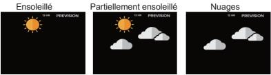 LA CROSSE TECHNOLOGY WS6869 - Prevision sur 12 heures. - 1