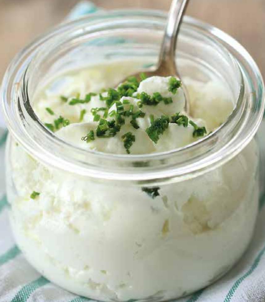 MAGIMIX 11582 - YAOURTS CHÈVRE CIBOULETTE - 1