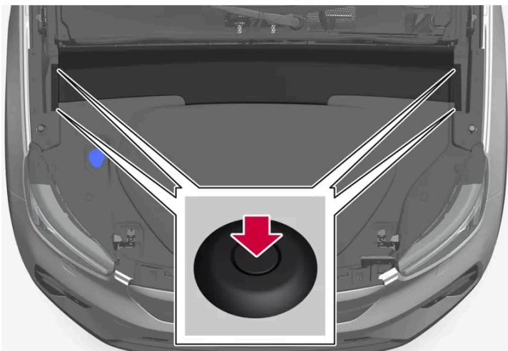 VOLVO C40 (2024) - Attention - 1