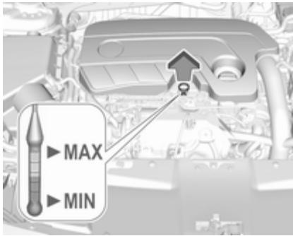 OPEL Insigna B (2017-2019) - Huile moteur - 3