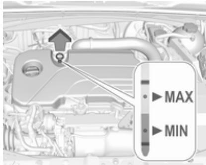 OPEL Insigna B (2017-2019) - Huile moteur - 1