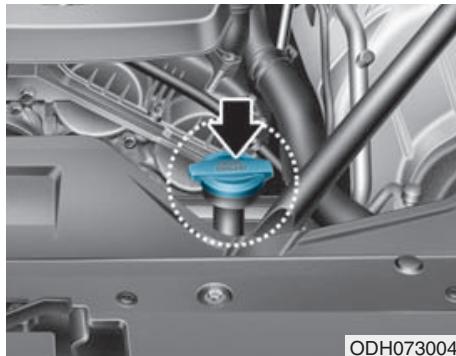 HYUNDAI Genesis DH  (2013-2016) - A VERTISSEMENT - 2
