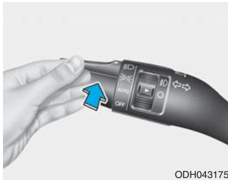 HYUNDAI Genesis DH  (2013-2016) - * AVIS - 1