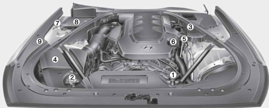 HYUNDAI Genesis DH  (2013-2016) - Lambda 3,8 Moteur - 1