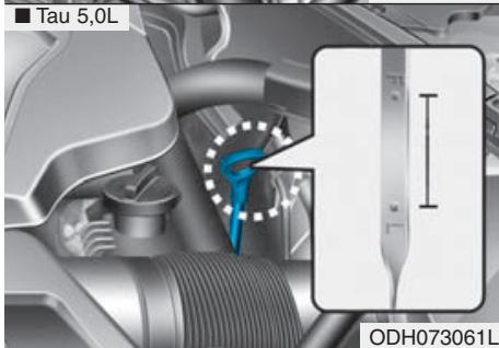 HYUNDAI Genesis DH  (2013-2016) - Vérification du niveau d'huile - 2