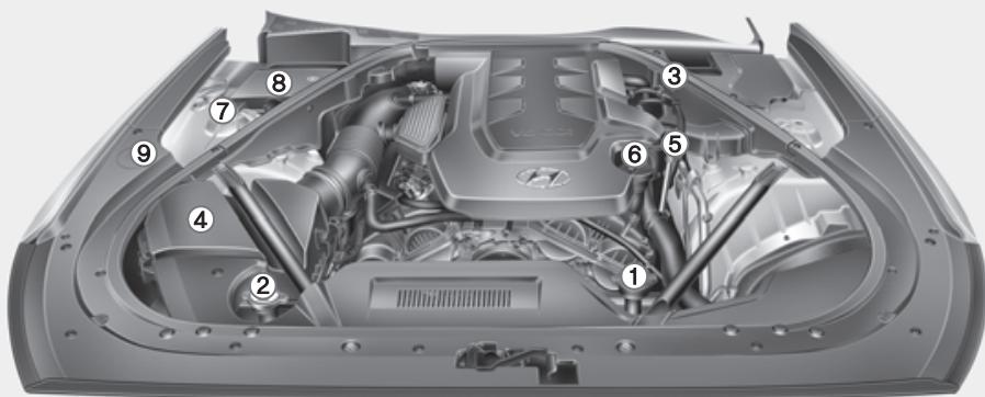 HYUNDAI Genesis DH  (2013-2016) - COMPARTIMENT-MOTEUR - 1