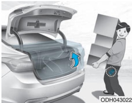 HYUNDAI Genesis DH  (2013-2016) - Coffre intelligent (si équipé) - 1