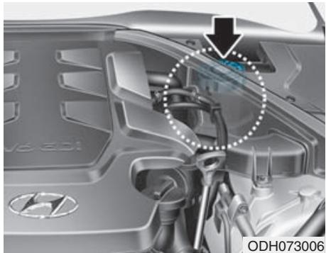 HYUNDAI Genesis DH  (2013-2016) - LIQUIDE DE FREIN - 1