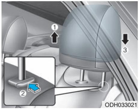 HYUNDAI Genesis DH  (2013-2016) - AVERAGEMENT - 2