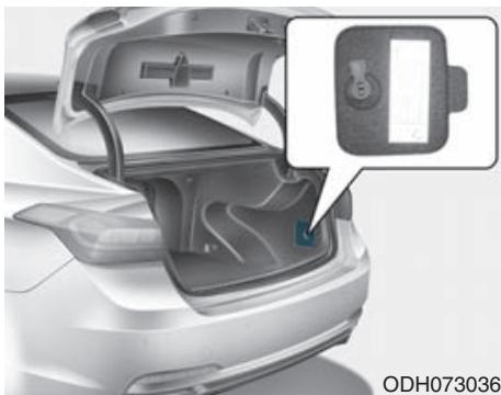 HYUNDAI Genesis DH  (2013-2016) - Panneau de fusibles du coffre (panneau arrière) - 1