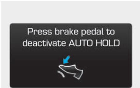 HYUNDAI Genesis DH  (2013-2016) - MISE EN GARDE - 1