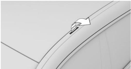 BMW Série 5 G60 - Enjoliveur de pavillon avec volets - 1