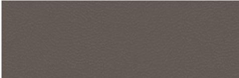 Chrysler Pacifica 2 (2017) - TOURING-L - 2