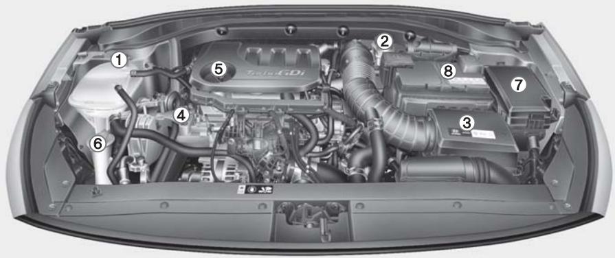 HYUNDAI i30 PD - 3 (2017-2020) - COMPARTIMENT MOTEUR - 1