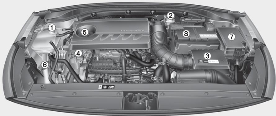 HYUNDAI i30 PD - 3 (2017-2020) - COMPARTIMENT MOTEUR - 2