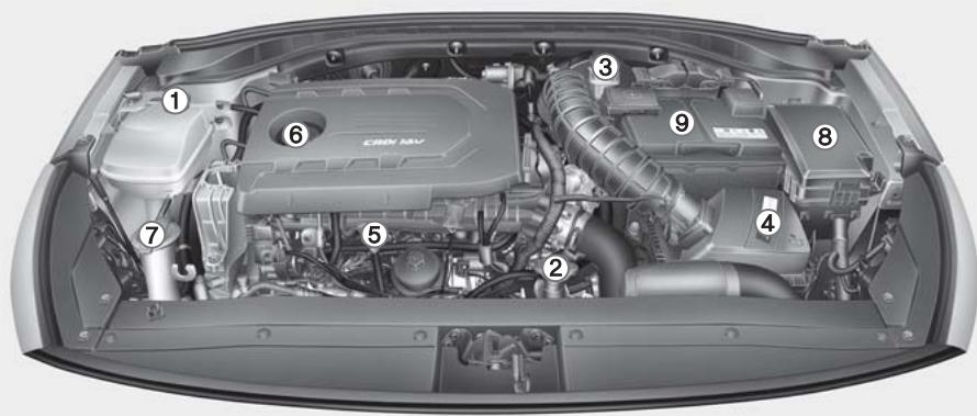 HYUNDAI i30 PD - 3 (2017-2020) - COMPARTIMENT MOTEUR - 5