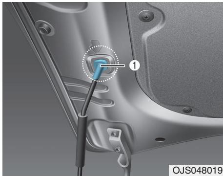 HYUNDAI Veloster (2018-2022) - Capot - 3