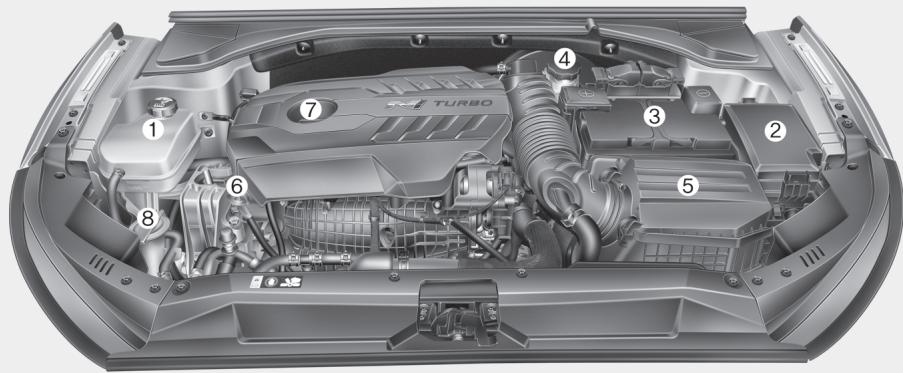 HYUNDAI Veloster (2018-2022) - COMPARTIMENT MOTEUR - 1
