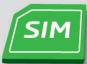 SKODA Octavia 3 (2017-2020) - Utiliser la carte SIM dans le module externe - 2