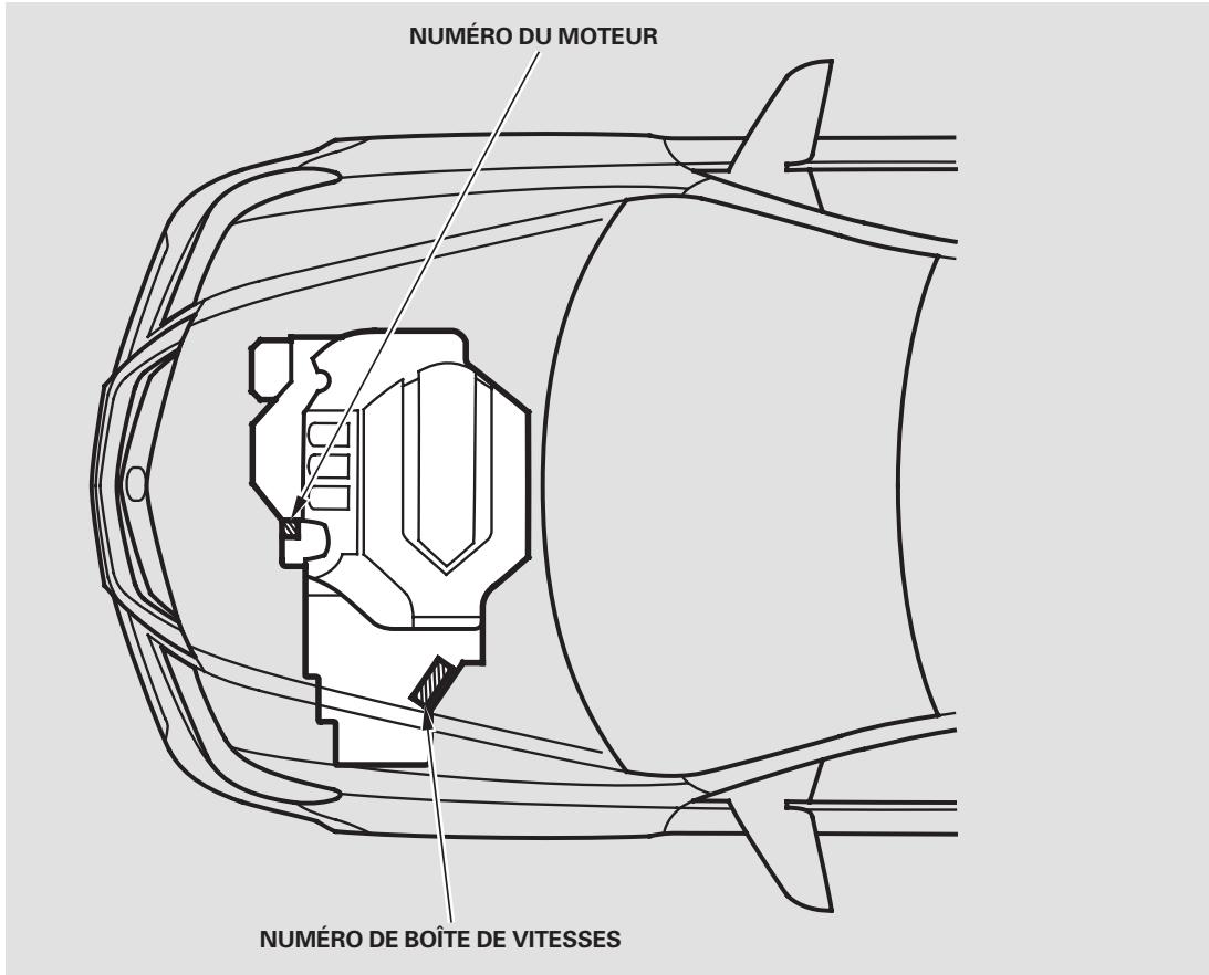 Acura RL (2011) - REMARQUE - 2