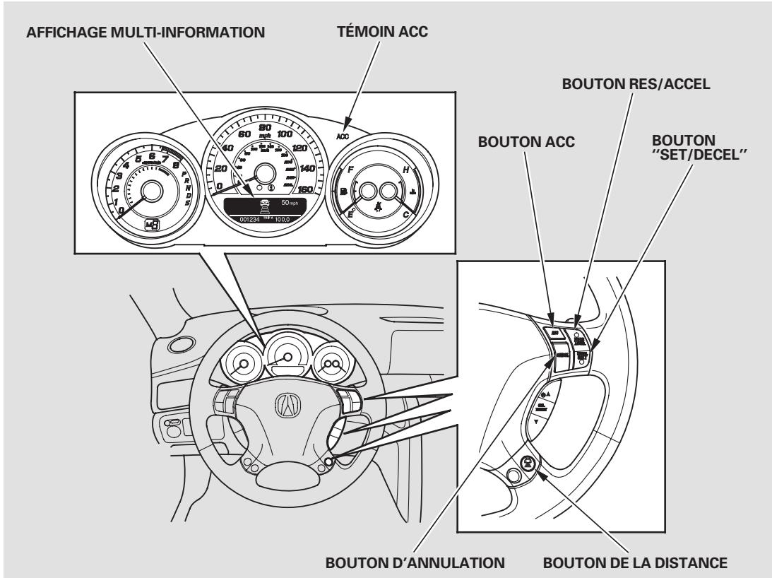 Acura RL (2011) - Composantes ACC - 1