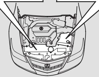 Acura RL (2011) - : Consulter les renseignements sur l'entretien et la garantie des systèmes antipollution à la page 452. - 5