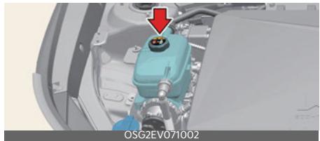 KIA Niro SG2 (2021) - Liquide de refroidissement - 1