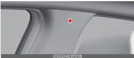KIA Niro SG2 (2021) - Coussin gonflable de type rideau - 1