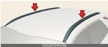 KIA Niro SG2 (2021) - Galerie de toit (selon l'équipement) - 1