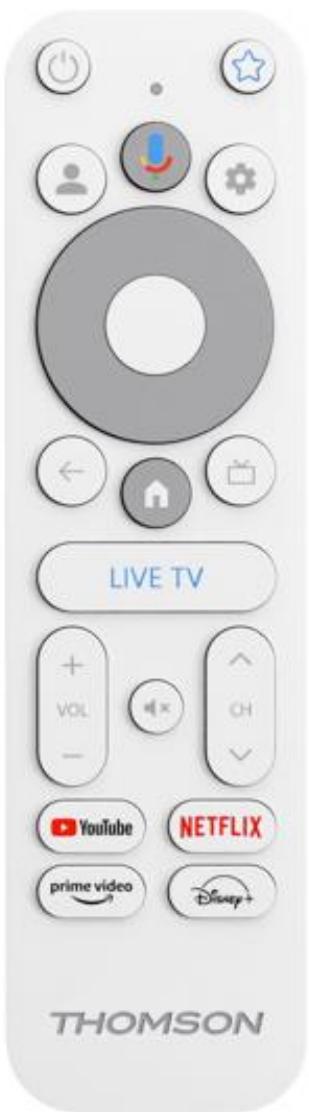 THOMSON 150GOCAST - Télécommande - 1