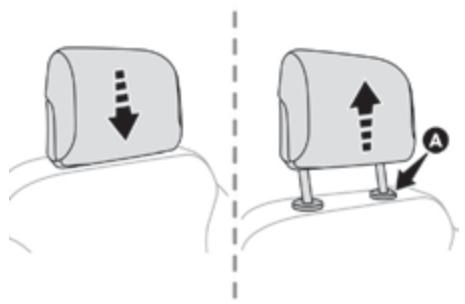 PEUGEOT Traveller (2016-2023) - Appuie-tête - 1