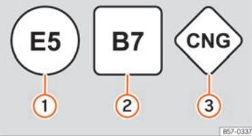 SEAT Tarraco (2018) - Identification des carburants - 1
