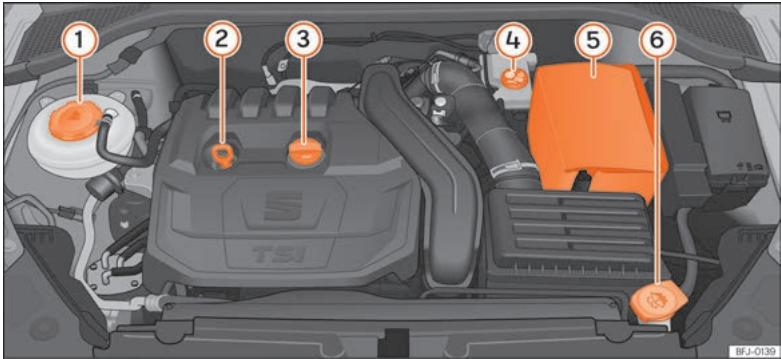 SEAT Tarraco (2018) - Contrôle des niveaux - 1