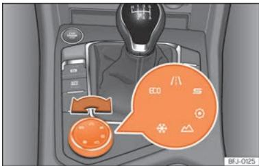 SEAT Tarraco (2018) - Réglage du profil de conduite - 1