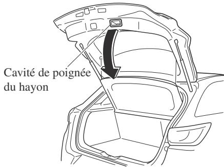 MAZDA CX-3 Phase 3 (2018-2021) - (Avec panneau du compartiment à bagages) - 2
