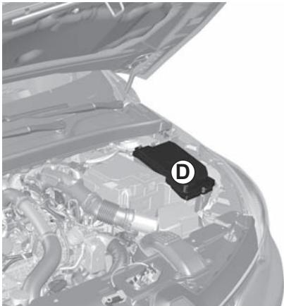 RENAULT Clio 5 (2019-2023) - FUSIBLES (4/4) - 1