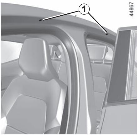 RENAULT Clio 5 (2019-2023) - BARRES DE TOIT, BECQUET - 1